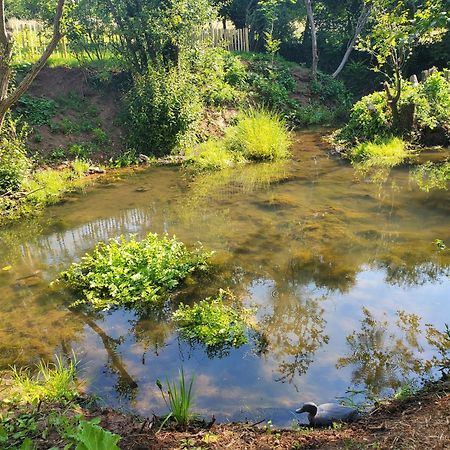 Le Clos Des Sources Isigny sur Mer Bagian luar foto