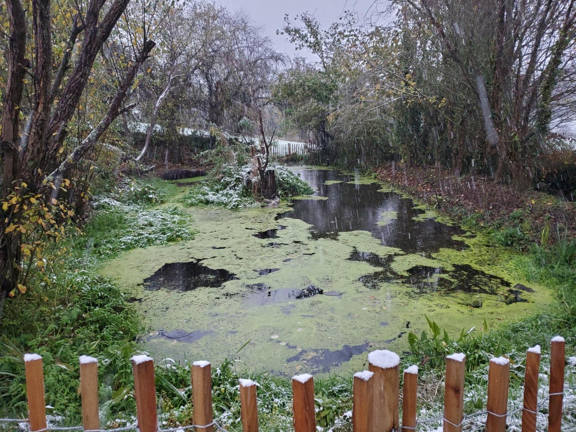Le Clos Des Sources Isigny sur Mer Bagian luar foto